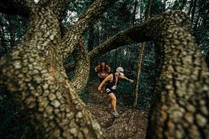 BIB: 
                            <button type="button" onclick="openModal(25668817)" class="btn btn-primary btn-sm float-right btn-popup" data-toggle="modal" data-target=".modal-high-quality">
                        <i class="fas fa-shopping-cart"></i> Add to Cart
                    </button>
                                            <button type="button" onclick="isThisMe(25668817, true)" class="btn btn-success btn-sm float-right btn-popup btn-isme hidden" data-toggle="tooltip" data-placement="bottom" title="นี่คือรูปของคุณใช่ไหม คลิกที่นี่เพื่อเอาเข้าอัลบั้ม">
                        <i class="fas fa-plus"></i> Add to album
                    </button>
                    <button type="button" onclick="isThisMe(25668817, false)" class="btn btn-warning btn-sm float-right btn-popup btn-isnotme hidden">
                        <i class="fas fa-ban"></i> Remove from album
                    </button>